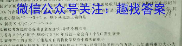 九师联盟 2022-2023学年高三5月考前押题(X)物理`