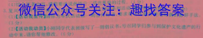 2023年山西省初中学业水平考试 定心卷语文