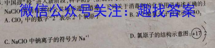 四川省蓉城名校联盟2024-2023学年高二下学期期末联考化学
