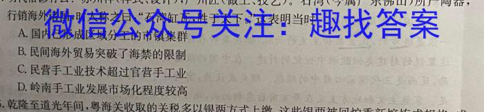 九师联盟2024—2023学年高二下学期6月摸底考试（X）历史