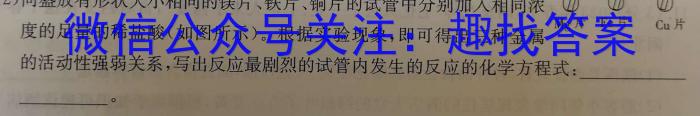 2023年金安高三年级适应性考试卷(23-485C)化学