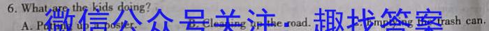 九师联盟2022~2023学年高二摸底联考巩固卷（LG）英语