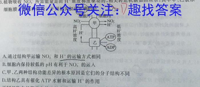 安徽省2023-2024学年下学期八年级开学考试（无标题2.26）数学