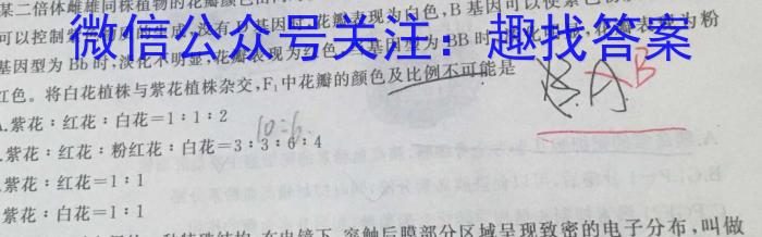 甘肃省2023年普通高等学校招生全国统一考试(模拟考试)数学