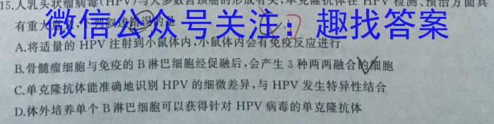 河南省2023-2024学年九年级考前模拟试卷数学