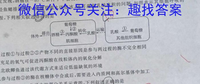 黑龙江省2023年高二年级学期调研考试（23-519B）数学