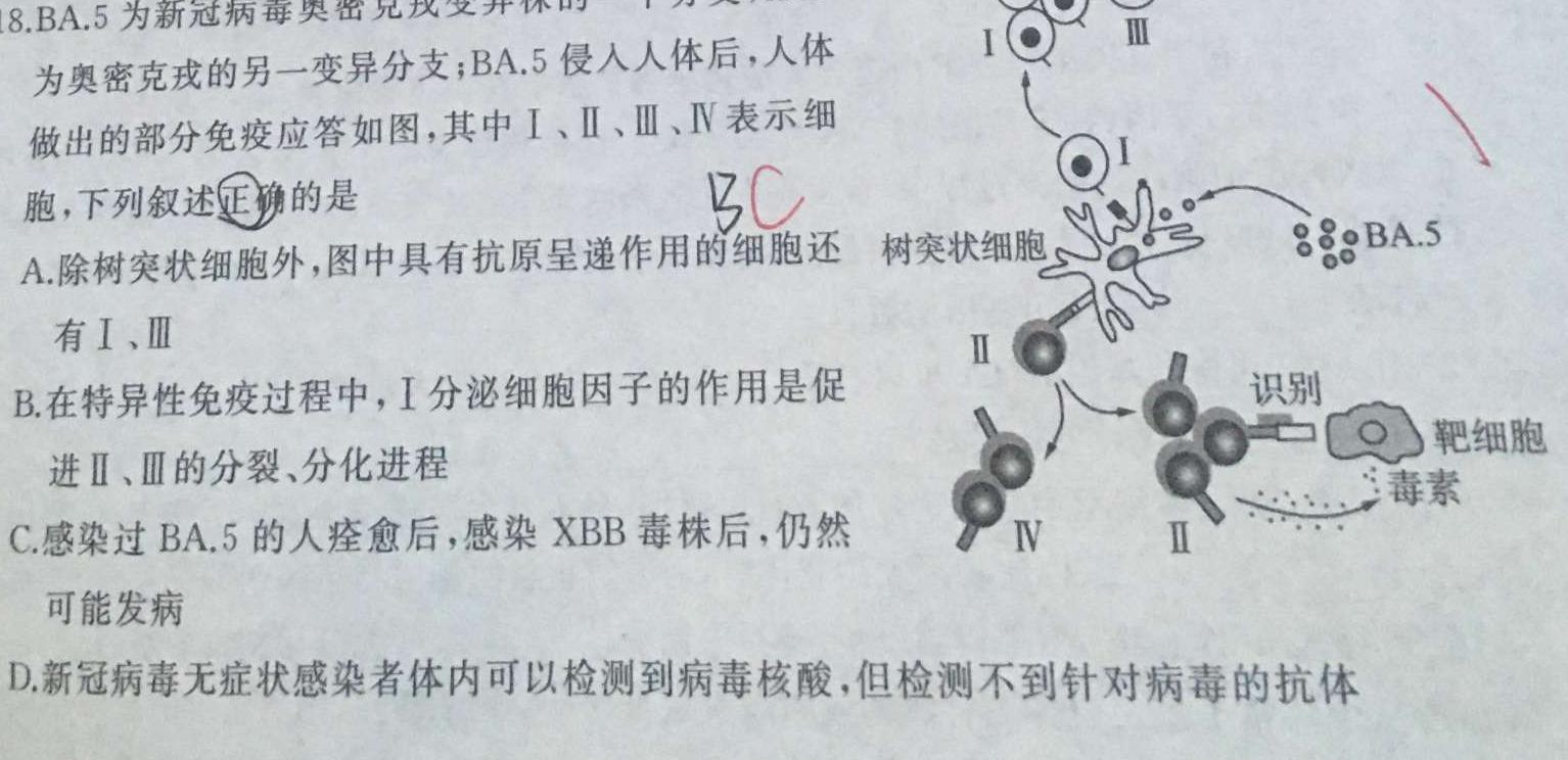 天一大联考·皖豫名校联盟2022-2023学年(下)高一年级阶段性测试(四)生物