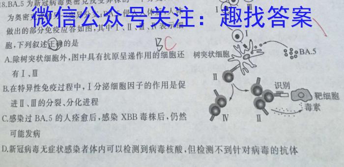 2023年陕西大联考高一年级6月联考（✿）文理 数学