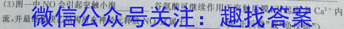 铭师文化 2023~2024学年安徽县中联盟高二12月联考数学