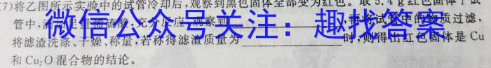 T2·2023年陕西省初中学业水平考试模拟试卷化学