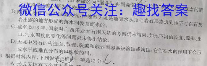 决胜新高考-2023届高三年级大联考（5月）语文