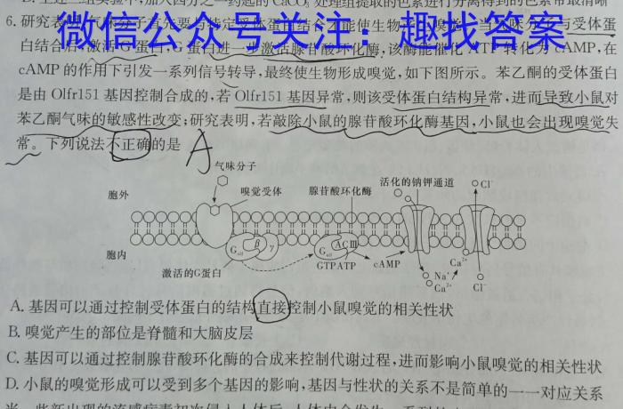 山东省2023-2024学年度高一大联考(3月)数学