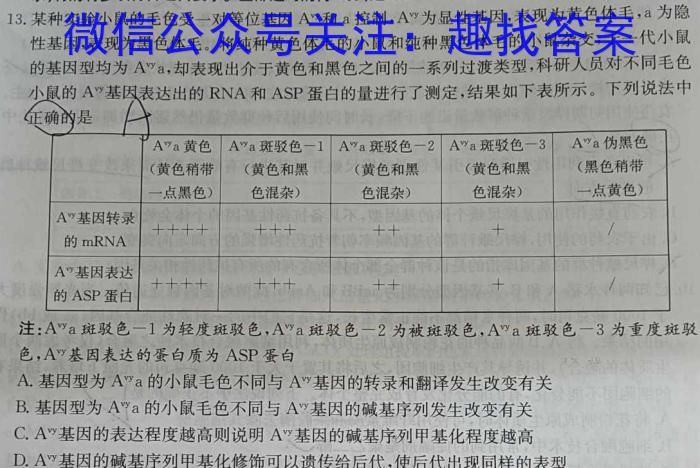 九师联盟 2022-2023学年高三年级高考仿真模拟考试数学