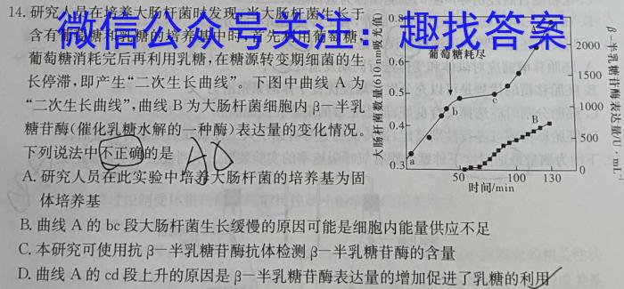 2024年河南中考临考压轴最后三套(一)数学