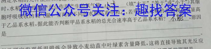 安徽省2023-2024学年第二学期八年级教学评价一数学