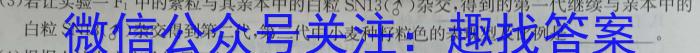 2024届湖南省高考一轮复习核心素养测评卷(三)数学.