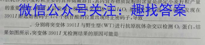 贵阳市2024届上学期高三年级摸底考试(2023.08)数学