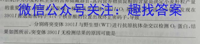 衡水金卷先享题2023-2024学年度高三一轮复习摸底测试卷摸底卷(山东专版)二数学