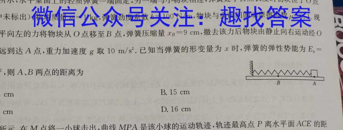 安师联盟 2023年中考安心卷物理`