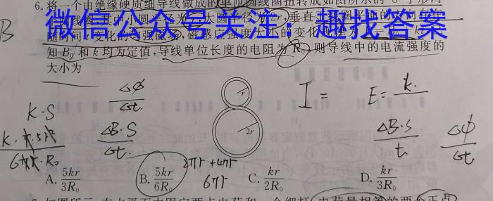 2023届河南省高三年级5月联考（6001C·HEN）物理.