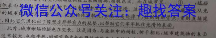 湖南省2023年邵阳市7月高二联考语文