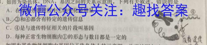 山西省2023-2024学年度第一学期七年级期末教学评估数学