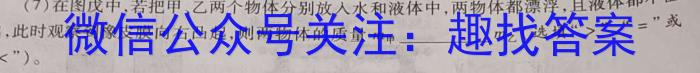 2023年全国普通高等学校统一招生考试 考前检测试卷(新高考)(二)2l物理