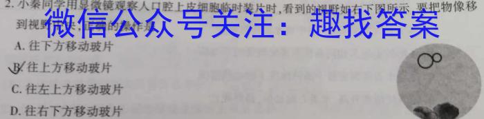 启光教育2024年普通高等学校招生全国统一考试(2024.3)数学