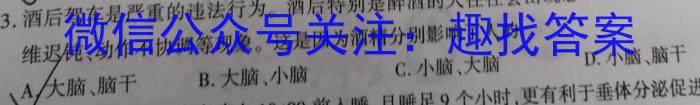 湖北省联考协作体 2024年普通高等学校招生全国统一考试模拟试题(三)3数学