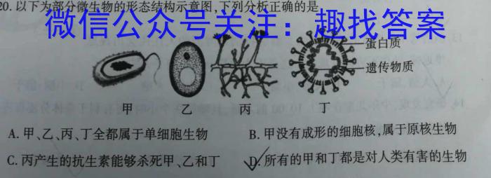 河南省2024年中考导航冲刺押题卷(十)10数学