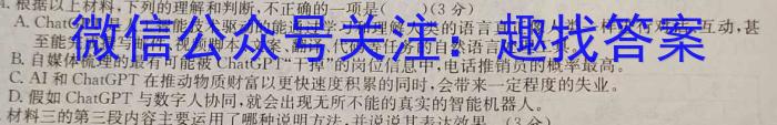 2023届中考导航总复习·模拟·三轮冲刺卷(二)2语文