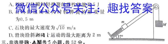 天一大联考 2022-2023学年第二学期高一期末调研考试.物理