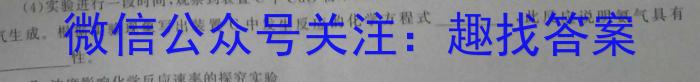 2023年安徽省中考冲刺卷(三)化学