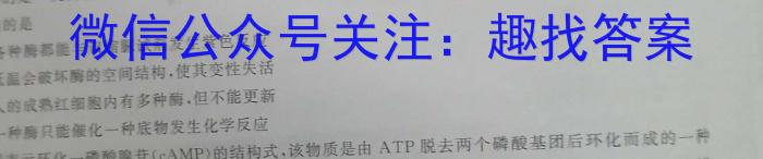 岳阳市2024年上学期高一高中教学质量监测试卷数学