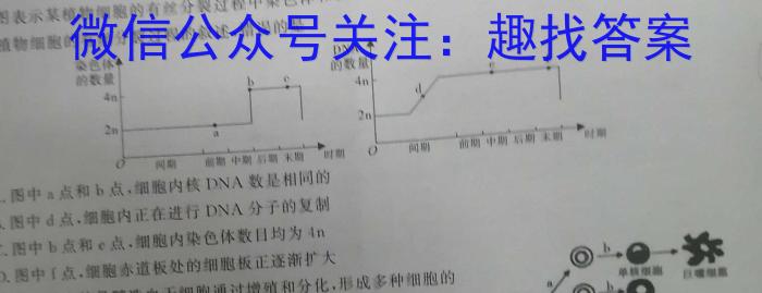 2023年先知冲刺猜想卷 老高考(一)数学