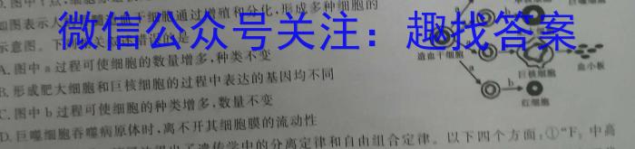 安徽省2023~2024学年度八年级教学素养测评 ✰R-AH数学