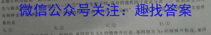 安徽省2025届九年级练习一(10月)数学