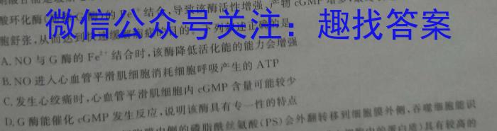 2024届名校大联盟·高三月考卷(六)6数学