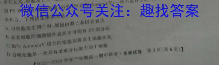 衡水金卷 2024届高三年级10月份大联考(新教材)数学