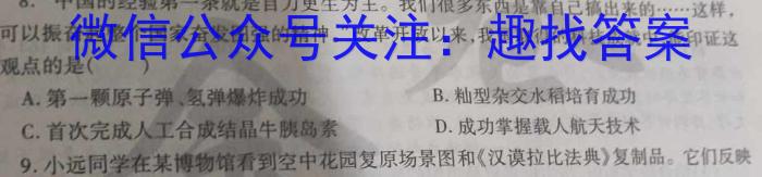 耀正文化(湖南四大名校联合编审)·2023届名校名师测评卷(九)9历史