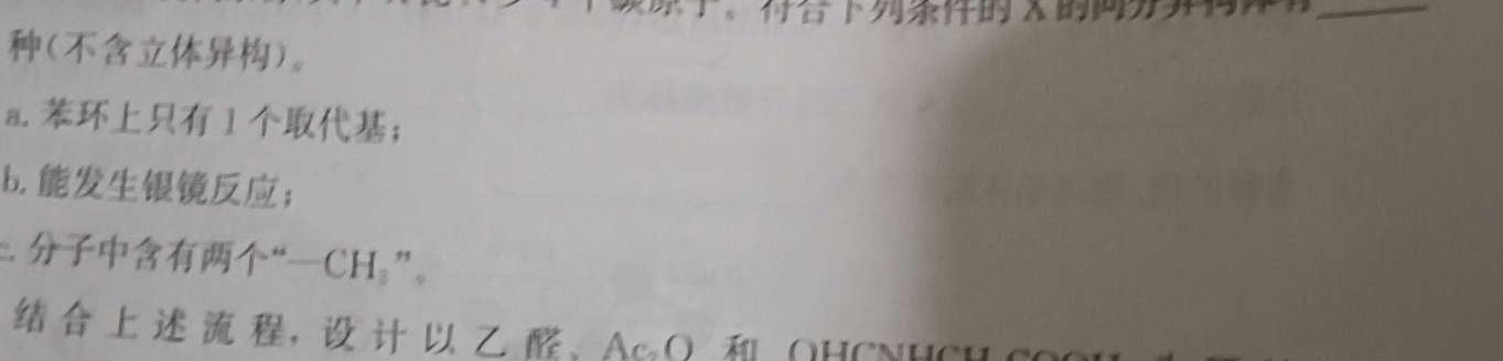 2023年陕西省初中学业水平考试模拟试卷W5化学