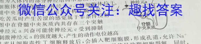 河南省顶级名校2023届高三考前押题信息卷(二)化学