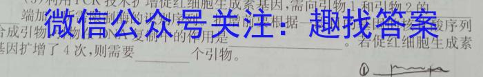 2023届安徽省中考联盟压轴卷(三个黑三角)化学