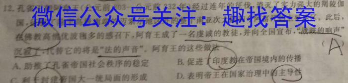 安徽省合肥市瑶海区2024-2023学年八年级下学期学习质量检测卷（6.27）&政治
