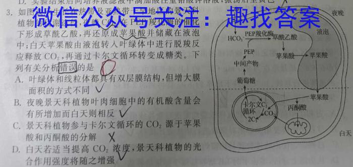 天一大联考2024-2025学年高二年级阶段性测试（二）数学