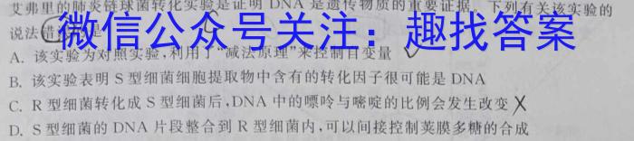 辽宁省普通高中2024-2025学年度上学期期初考试模拟试题数学