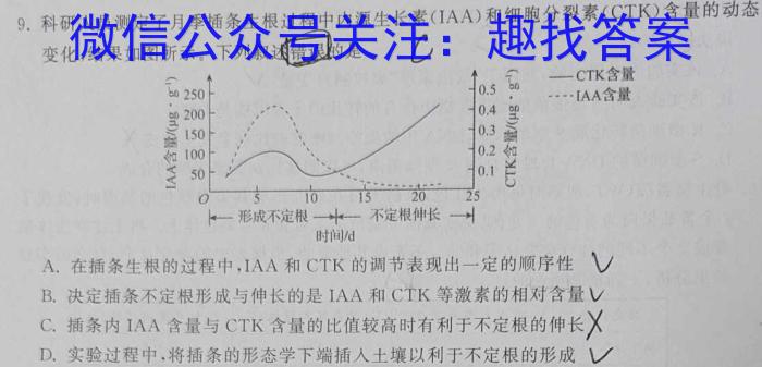 ［揭阳一模］揭阳市2024届高三年级第一次模拟考试数学