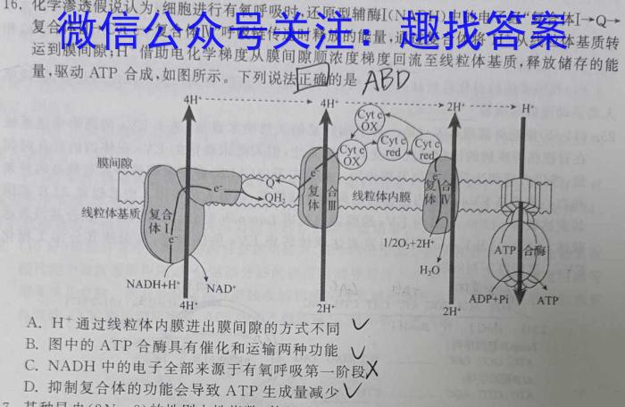 2024届滚动联考01数学