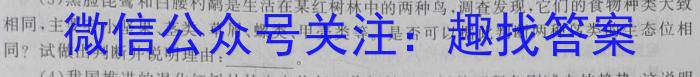 江西省2023年初中学业水平考试冲刺练习(二)数学