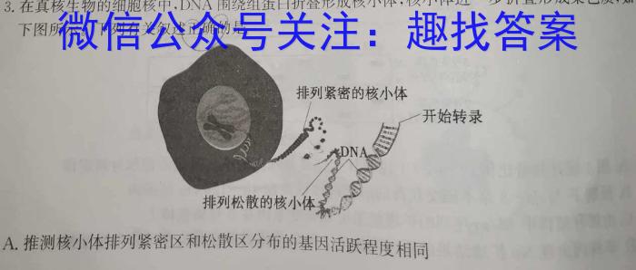 T3·2023年陕西省初中学业水平考试模拟试卷数学